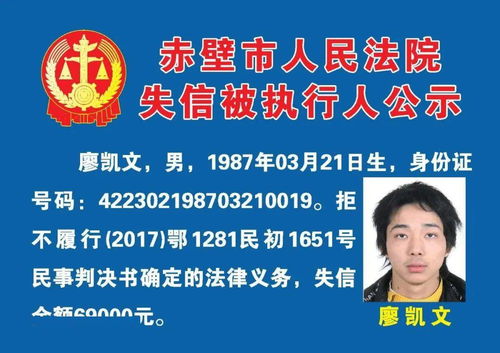 咸寧31人實名曝光 技術轉讓與技術維護服務背后的警示